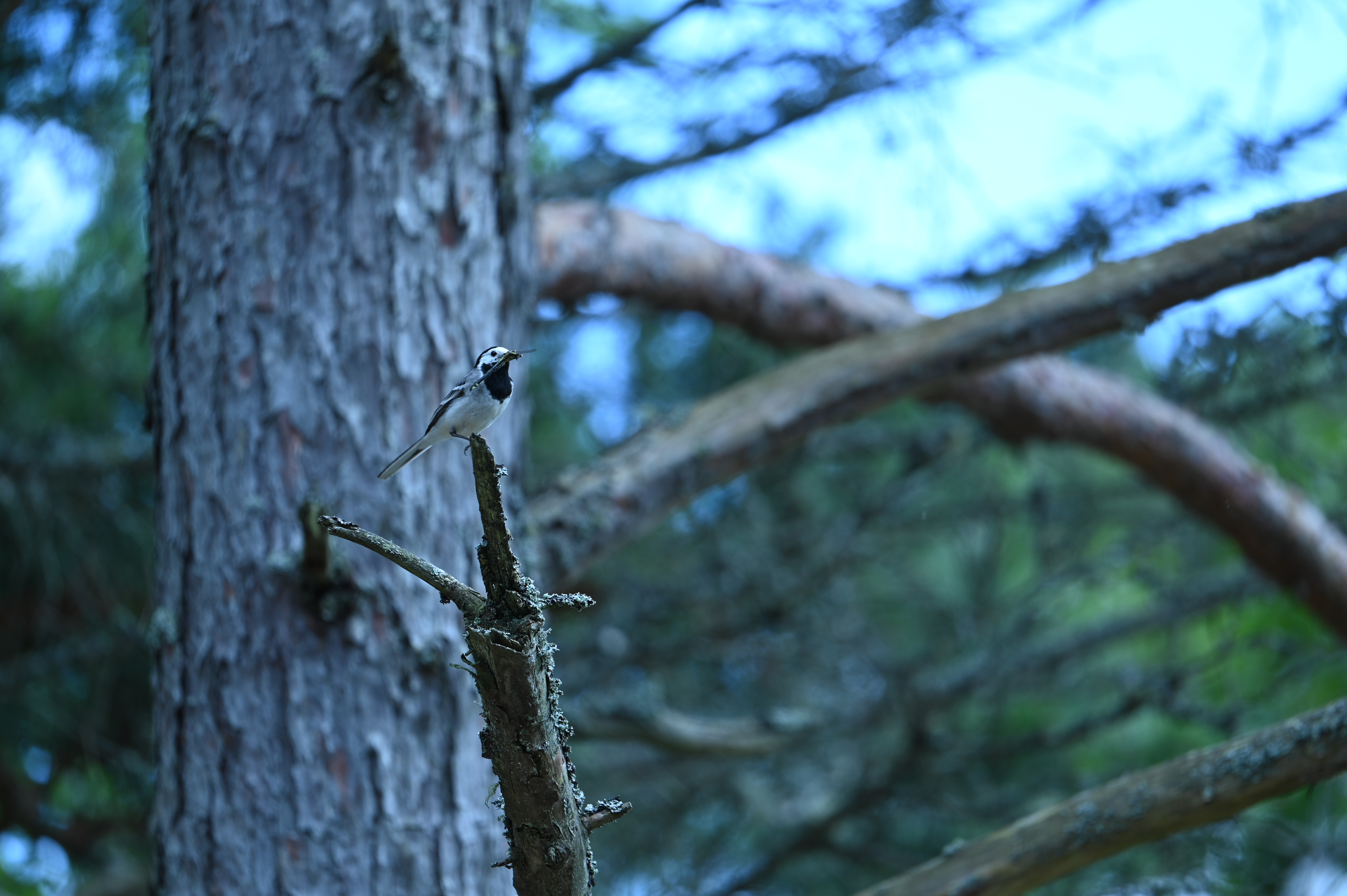 2025/07/09-14 - trip/DSC_0421.JPG